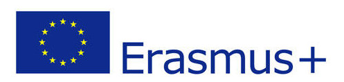 erasmusmini